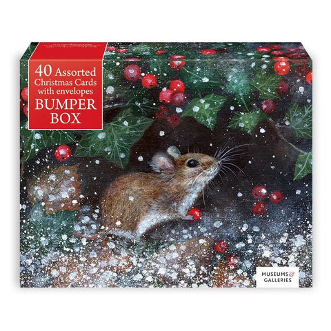 Museums & Galleries Boxed Holiday Cards 40pk Bumper Box Assortment