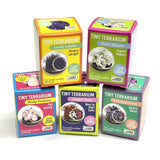 Tiny Terrarium Plant Grow Kits - Assorted Flowers