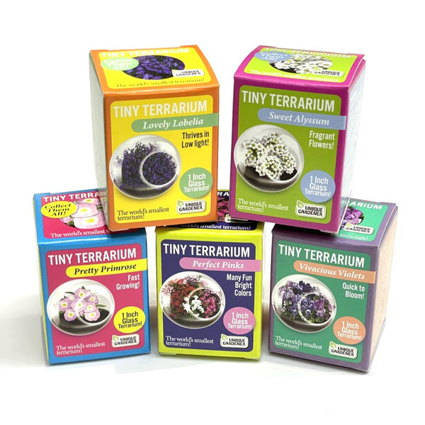 Tiny Terrarium Plant Grow Kits - Assorted Flowers