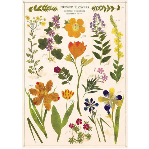 Cavallini Vintage Art Poster - Pressed Flowers (Ó)