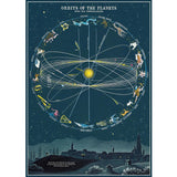 Cavallini Vintage Art Poster - Orbits of the Planets (Ó)