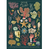 Cavallini Vintage Art Poster - Ocean Flora (Ó)