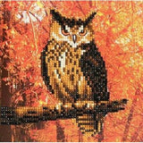 Craft Buddy DIY Crystal Art Card Kit - Autumn Owl