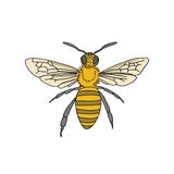 Tattly Temporary Tattoos 2pk - Honey Bee