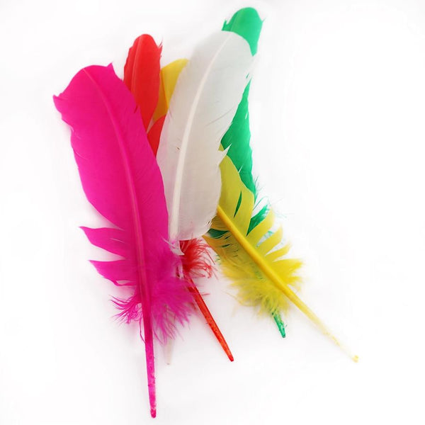 Angels Craft Multi-Coloured Feathers