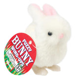 Toysmith Wind-Up Toy - Fuzzy Bunny