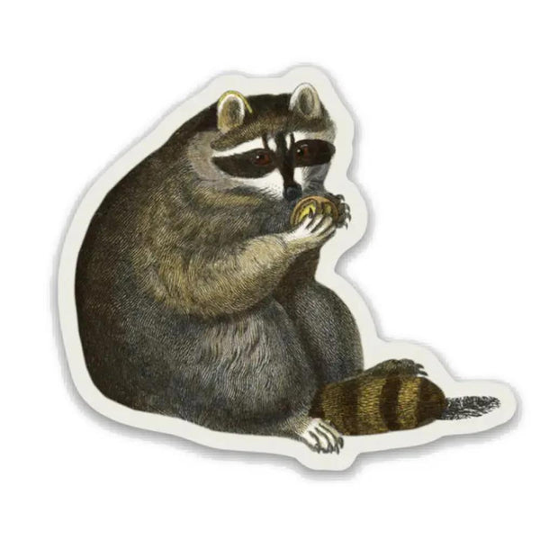 Stay Home Club Vinyl Sticker - Unbothered Raccoon