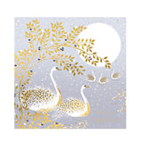 Art File Christmas Cards 8pk - Swans