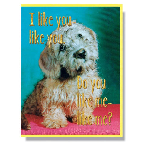 Smitten Kitten Valentine Greeting Card - Do You Like-Like Me