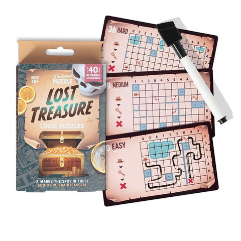 Professor Puzzle Logic Puzzles - Lost Treasure