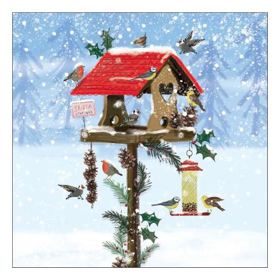 Museums & Galleries Boxed Holiday Cards 8pk Festive Bird House