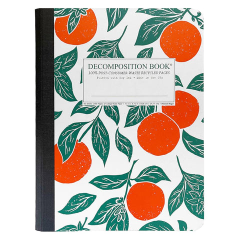 Decomposition Notebook - Oranges