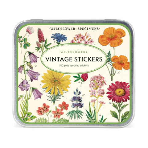 Cavallini Decorative Sticker Set - Wildflowers