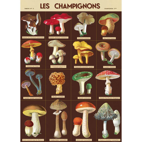 Cavallini Vintage Art Poster - Les Champignons (Ó)