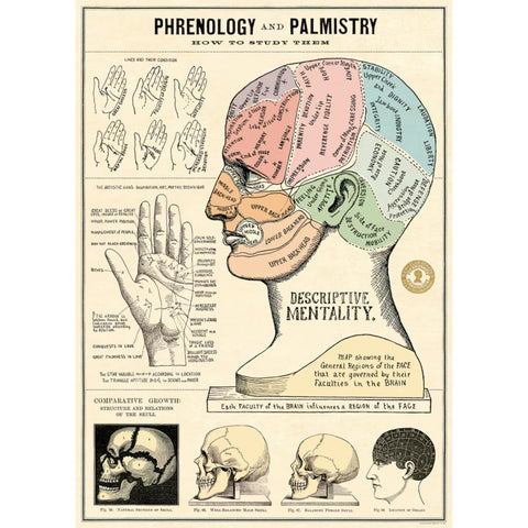 Cavallini Vintage Art Poster - Phrenology & Palmistry (Ó)