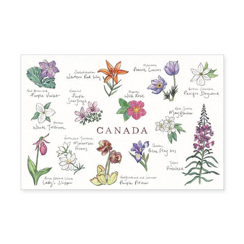 Gotamago Postcard - Canadian Floral Emblems