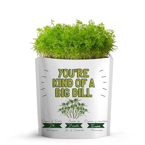Gift-a-Green Greeting Card Pouch - Kind of A Big Dill