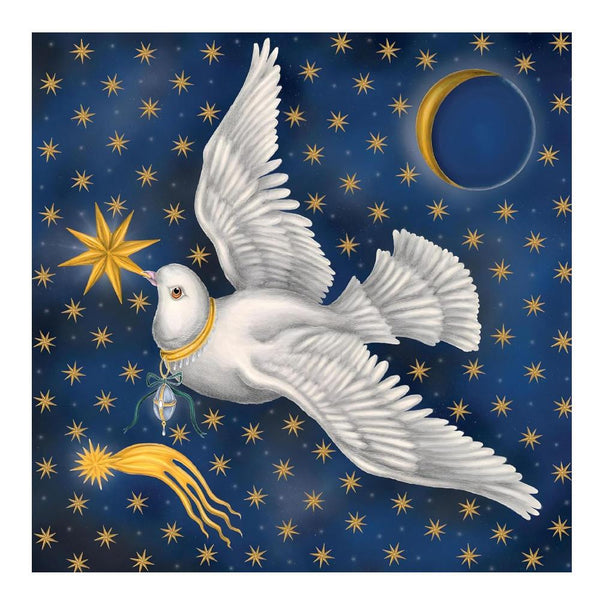 Museums & Galleries Boxed Holiday Cards 5pk Catch a Falling Star
