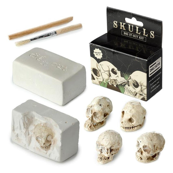 Puckator Skulls Dig It Out Kit, Assorted