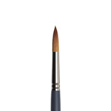 Winsor & Newton Professional Watercolour Synthetic Sable Brushes - Round