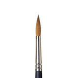 Winsor & Newton Professional Watercolour Sable Brushes - Round