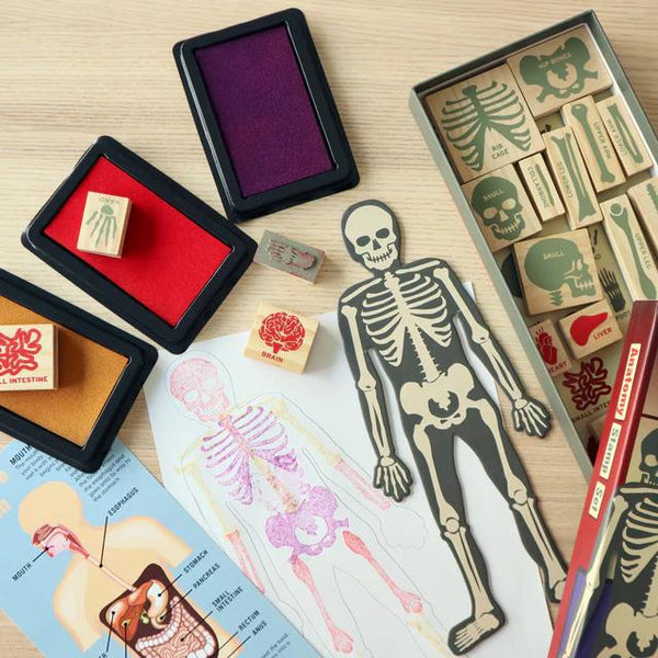 Kikkerland Stamp Set - Anatomy