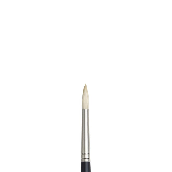 Winsor & Newton Artists' Oil Brushes - Round
