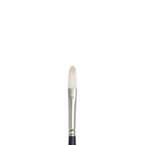 Winsor & Newton Artists' Oil Brushes - Double Thick Filbert