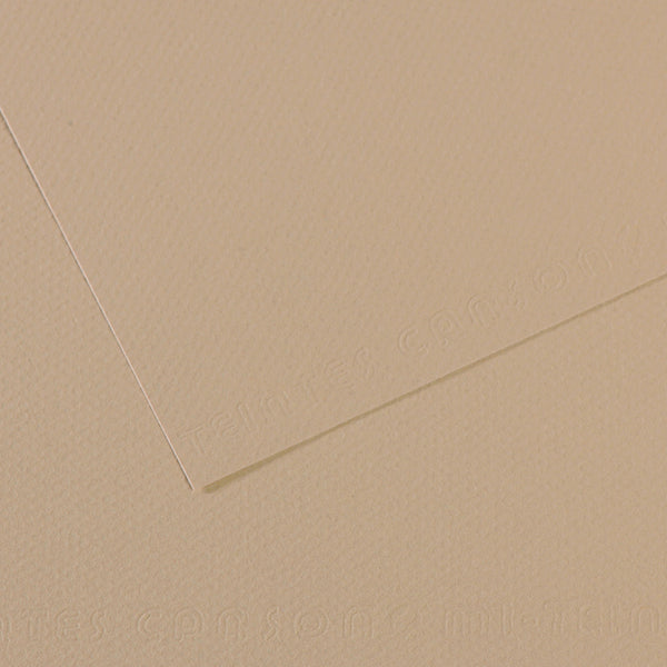 Canson Mi-Teintes Paper 19" x 25"
