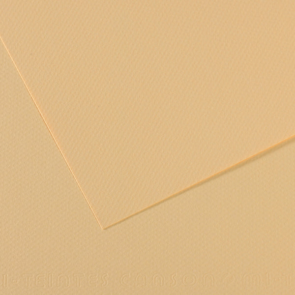 Canson Mi-Teintes Paper 19" x 25"