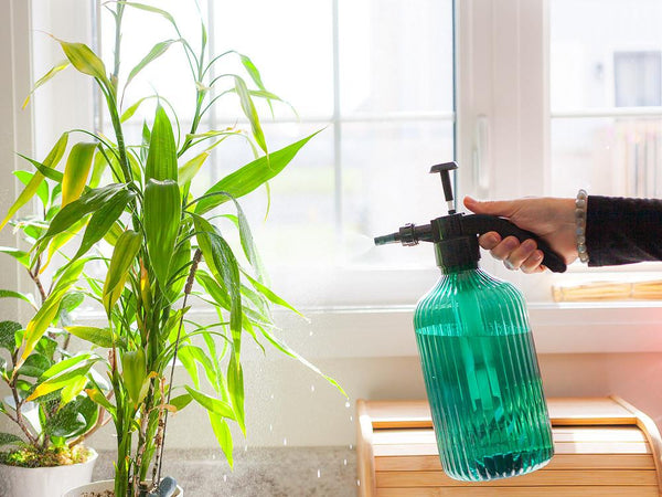 Abbott Plant Mister & Spray Bottle - Seltzer Bottle