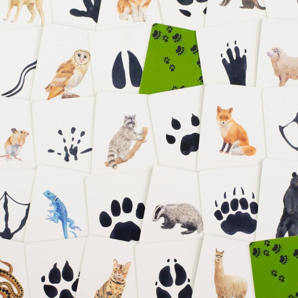 Laurence King Match a Track Near You Memory Game