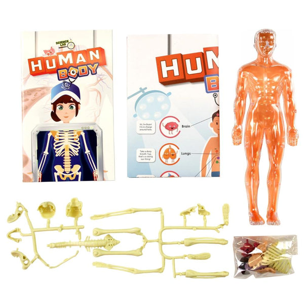 SpiceBox Human Body Science Lab