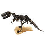 Tedco Dicover T-Rex Adventure Dig Kit