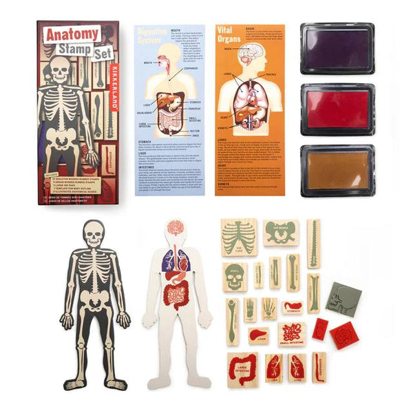 Kikkerland Stamp Set - Anatomy