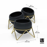 Umbra Potsy Planter Set of 3, Black