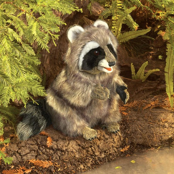 Folkmanis Hand Puppet - Raccoon 