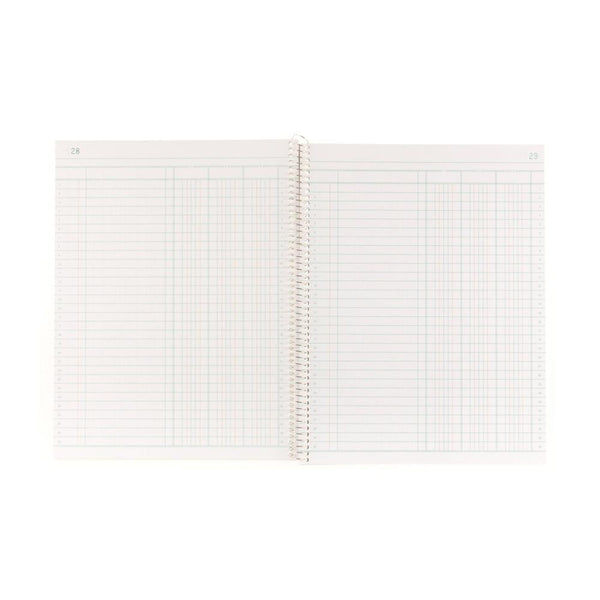 Blueline Accounting Book 10.25" x 7.75"