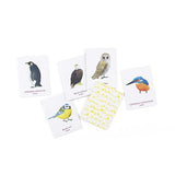 Laurence King Match a Pair of Birds Memory Game