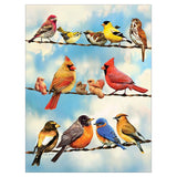 Cobble Hill Puzzle 500pc Birds on a Wire
