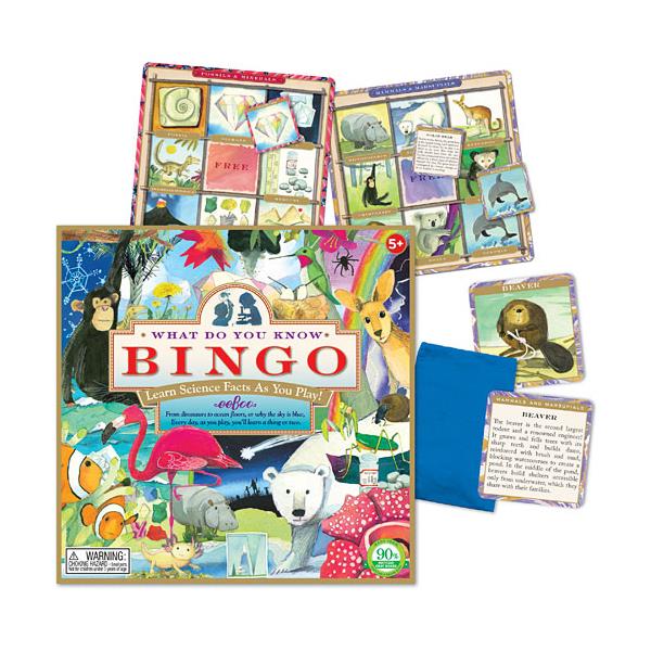 eeBoo Earth Science Bingo