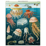 Cavallini 1000pc Vintage Puzzle - Jellyfish