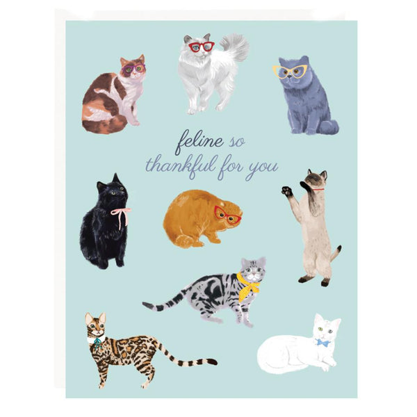 Paper Source Thank You Notecards 10pk - Feline Thankful