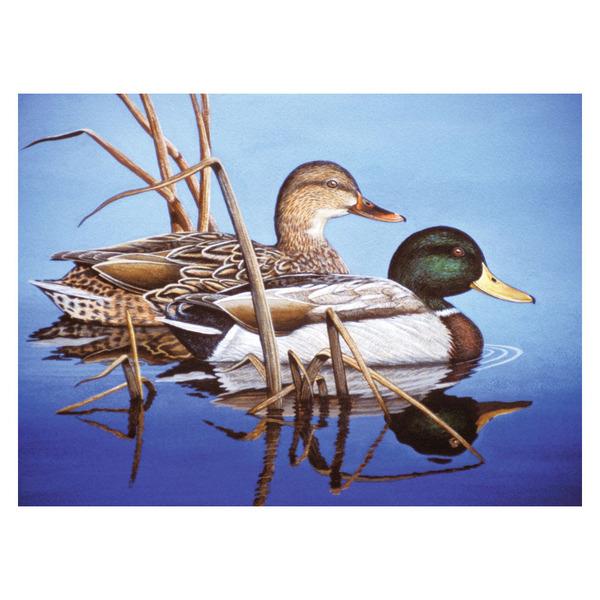 Royal & Langnickel Paint by Numbers - Blue Water Mallards (Ó)