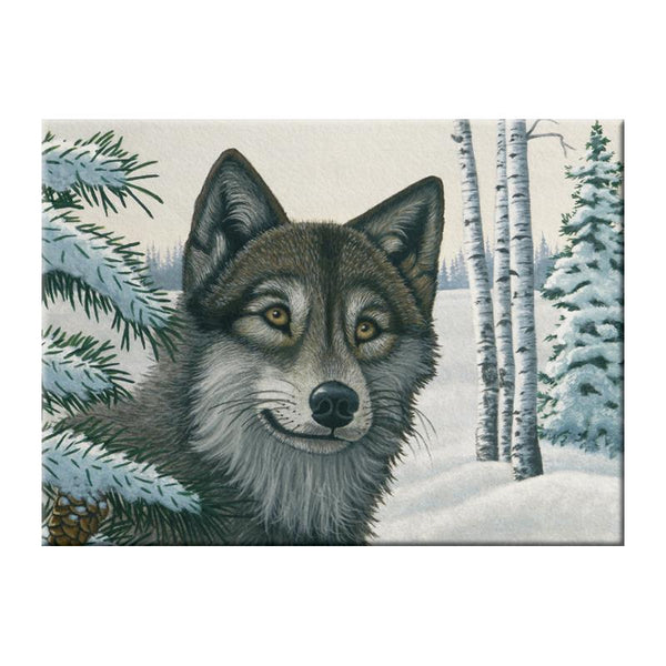 Royal & Langnickel Paint by Numbers - Snow Wolf