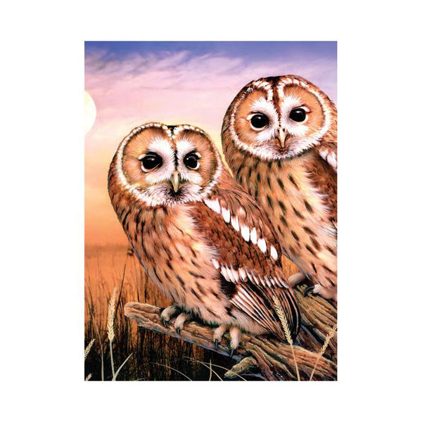 Royal & Langnickel Paint by Numbers - Tawny Owls