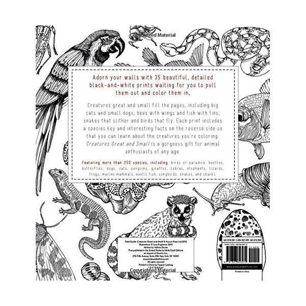 Creatures Great & Small Colouring Book