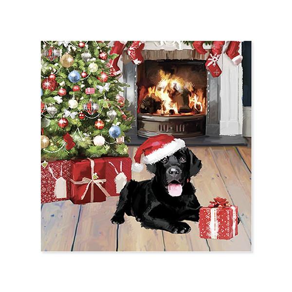 Midoco.ca: UWP Pop-Up Christmas Puppies Card