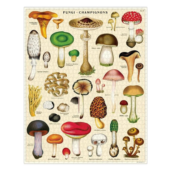 Cavallini 1000pc Vintage Puzzle - Mushrooms