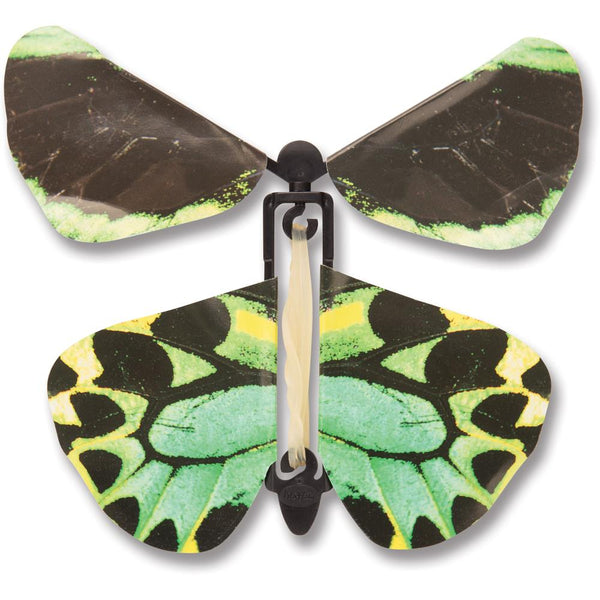 Heebie Jeebie Wind-up Butterfly, Assorted